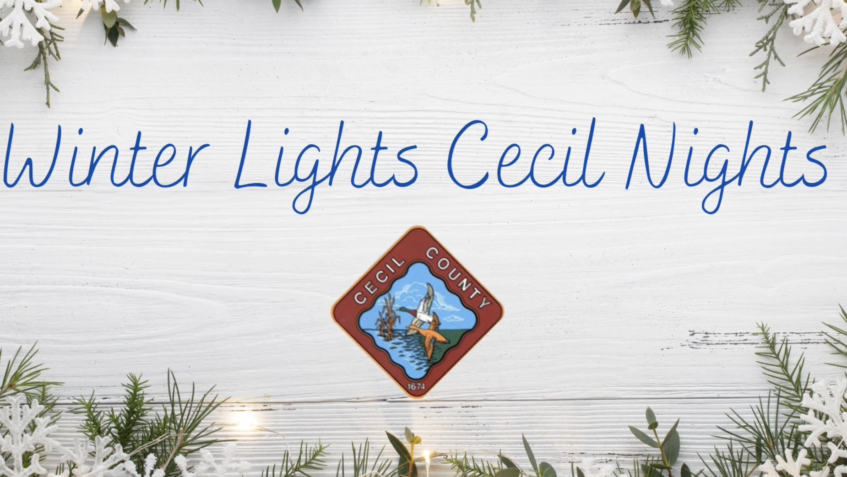 Winter Lights, Cecil Nights 2022